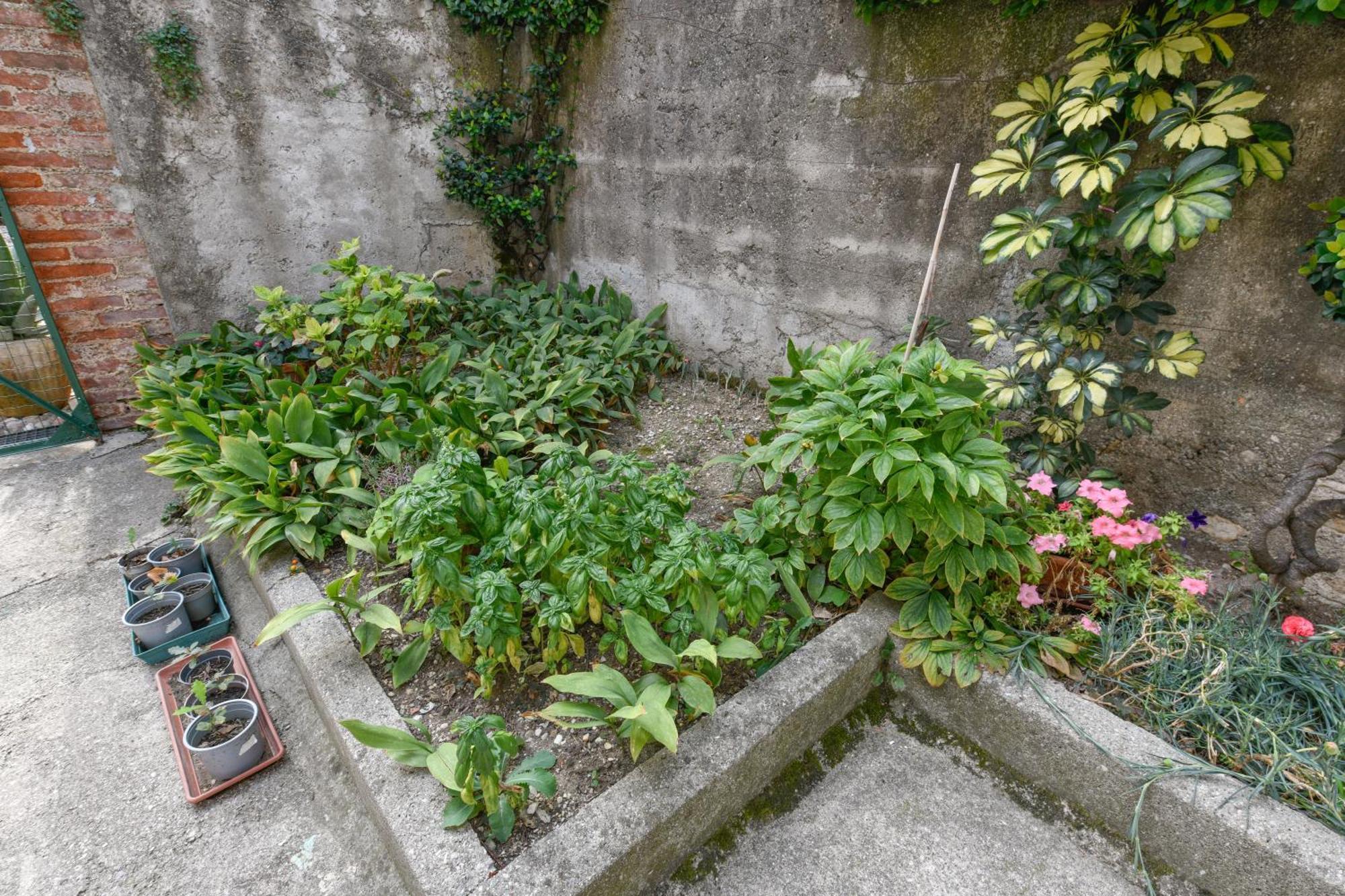 Appartamento In Piazza Moniga del Garda Exterior foto